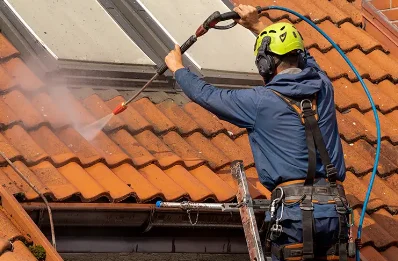 Démoussage et hydrofuge de toiture à Lalizolle